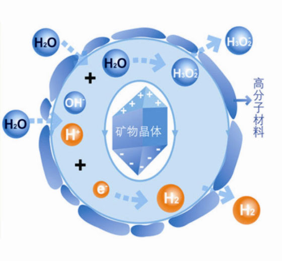 J9集团·(中国)官网 -首页